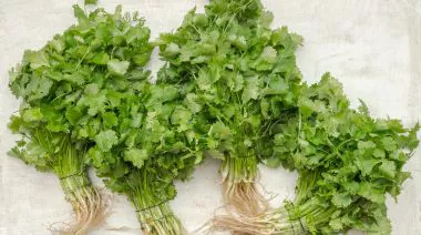 garnishing-instructions-image